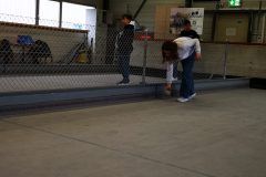 IMG_20230331_182628-scaled